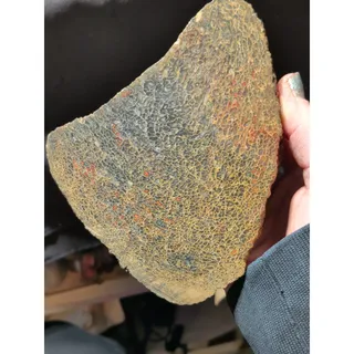 Photo of Gem Bone Fossilized Unpolished Specimen (3lbs 2oz)
