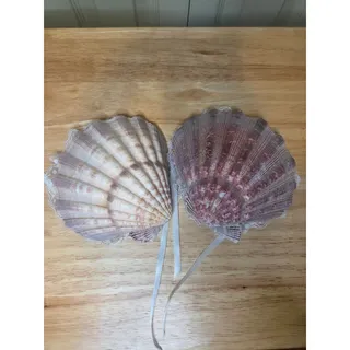Photo of Set of 2 Lions Paw Scallop Shell Ring Bearer Holders Beach Coastal Wedding Decor