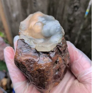 Photo of Botryiodal Specimen Natural Form 