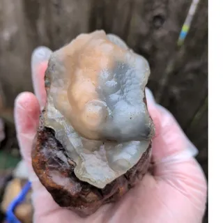 Photo of Botryiodal Specimen Natural Form 