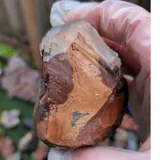 Listing Photo Thumb #7