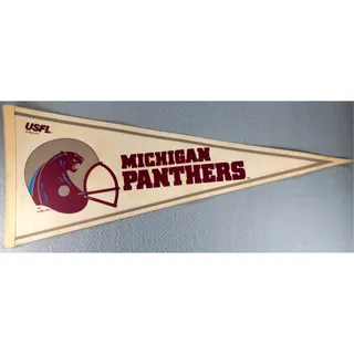 Photo of Vintage Michigan Panthers USFL Pennant Rare 1982 Football Felt Banner USA