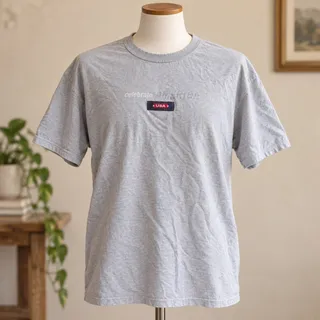 Photo of Vintage 2001 USA Celebrate America Graphic T-Shirt Gray Adult Large L 50/50