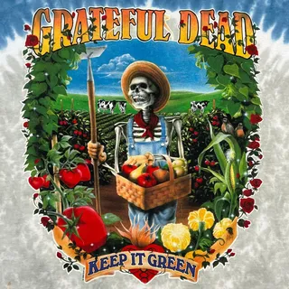 Photo of Vintage 1998 Liquid Blue Grateful Dead Keep It Green Farmer Tie Dye Band Tee