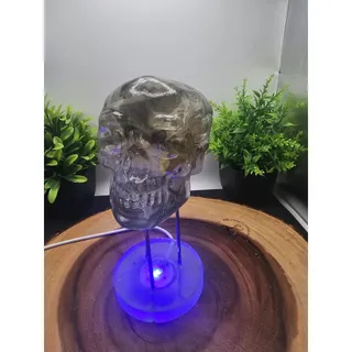Photo of Resin Skull with Bills and LED Lights