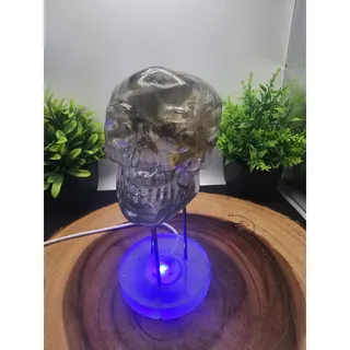 Photo of Resin Skull with Bills and LED Lights
