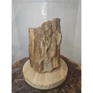 Photo of Texas Petrified Wood Display Piece with Stand