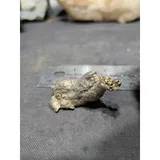 Listing Photo Thumb #6