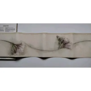 Photo of Home Trends Decorative Wall Border - Lillie's - 5 yds